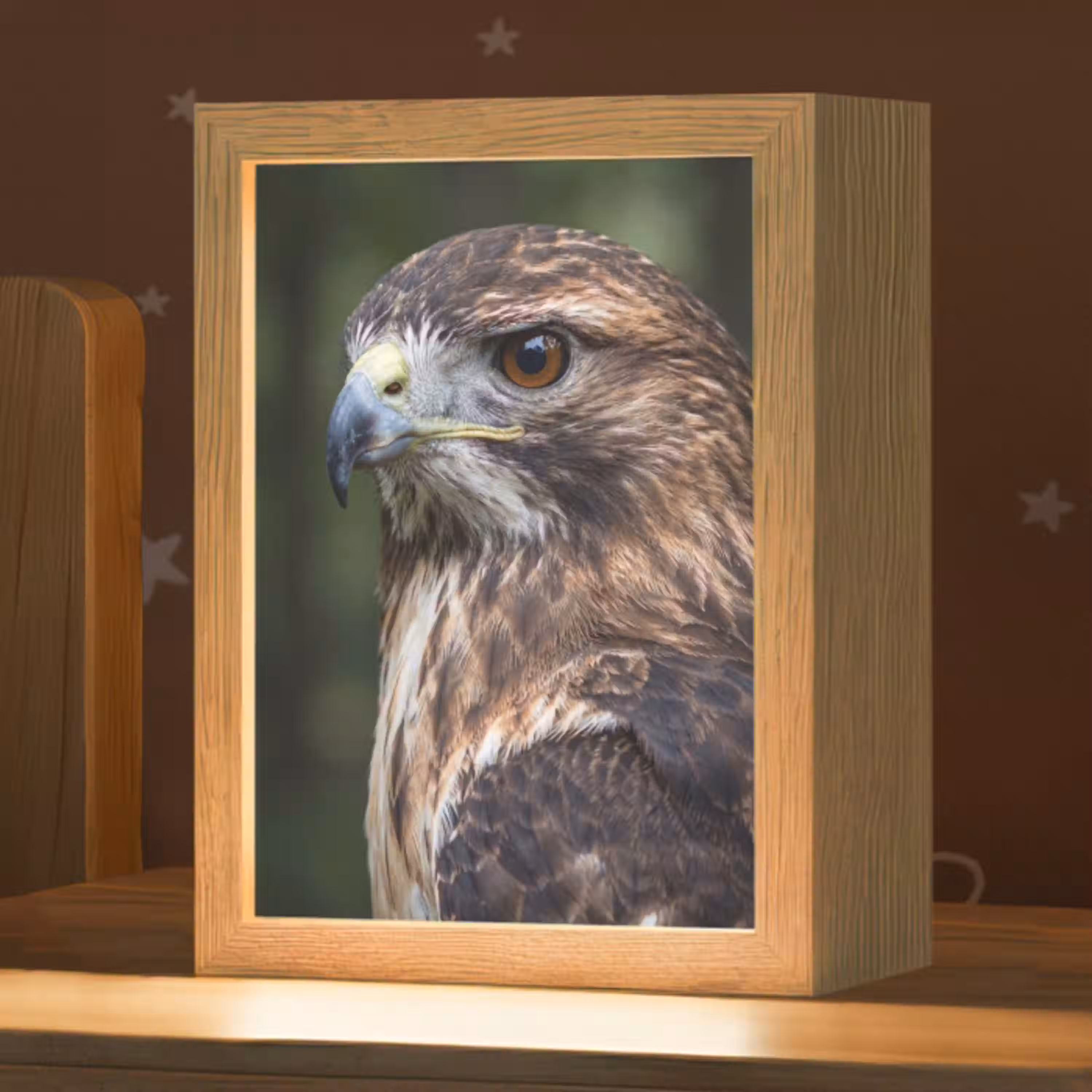 Buizerd - Roofvogel - Natuur - Bruin Light Box met kabel (Kinderlampje) klein -zzz_3d_website