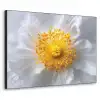 Wit - Bloem - Elegant Textielframe zwart klein -3d