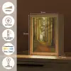 Bos - Natuur - Bomen - Landschap - Bladeren Light Box met kabel (Tafellamp) klein -USP_NL