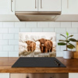 Schotse hooglander - Koe - Natuur - Winter keuken achterwand spatscherm klein -sfeer2