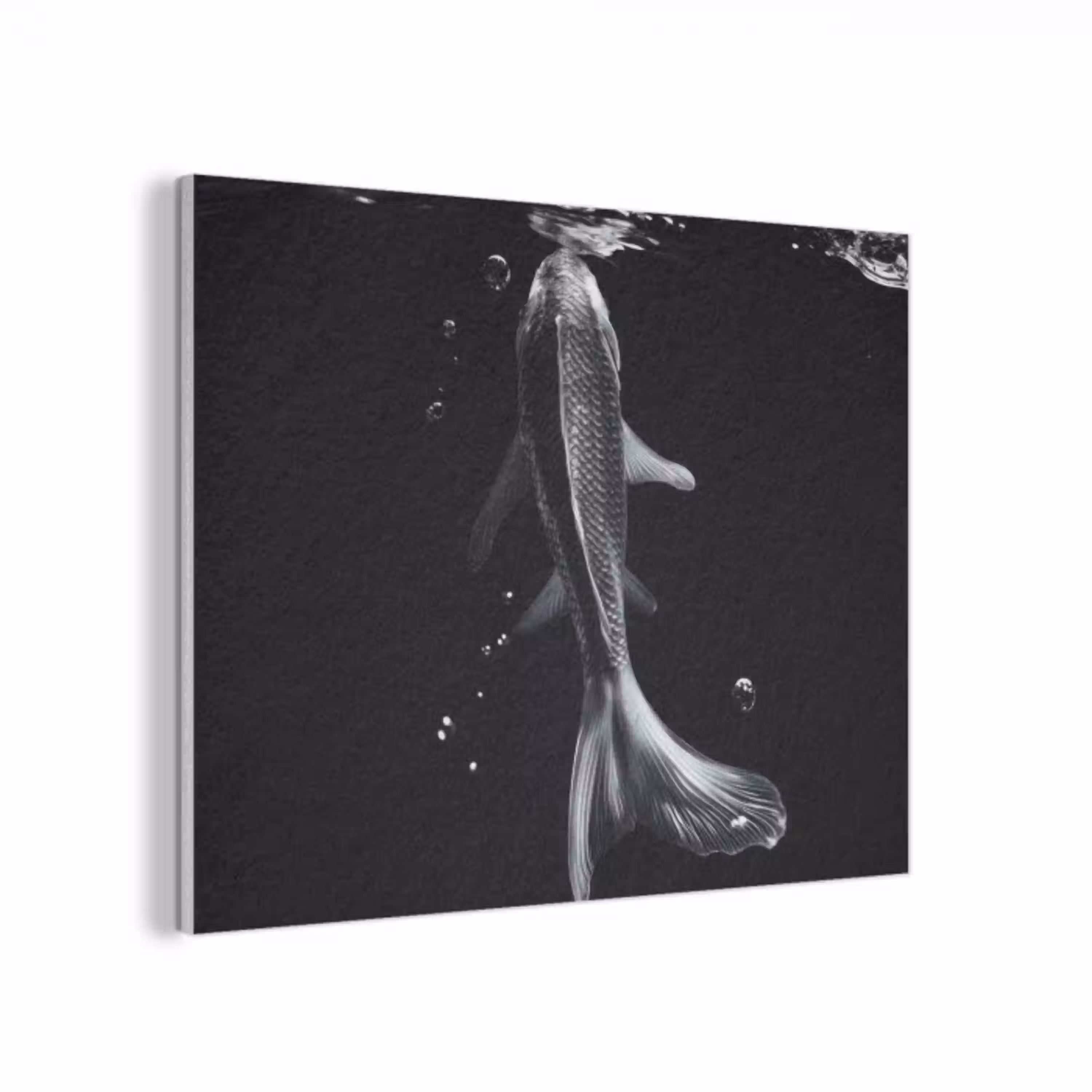 Koi - Vissen - Water - Zwart PET vilt klein -3d
