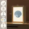 Ribbels - Blauw - Schelp Light Box met kabel (Tafellamp) klein -USP_NL