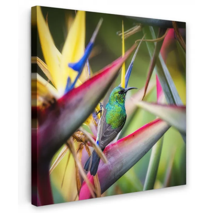 Kleurrijke vogel tussen allemaal kleurrijke platen Tuinposter op houten frame 2 cm dik klein -3d