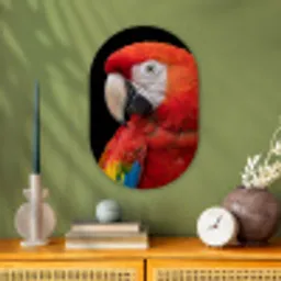 Ara - Portret - Rood Wandcirkel Ovaal Forex klein -sfeer2