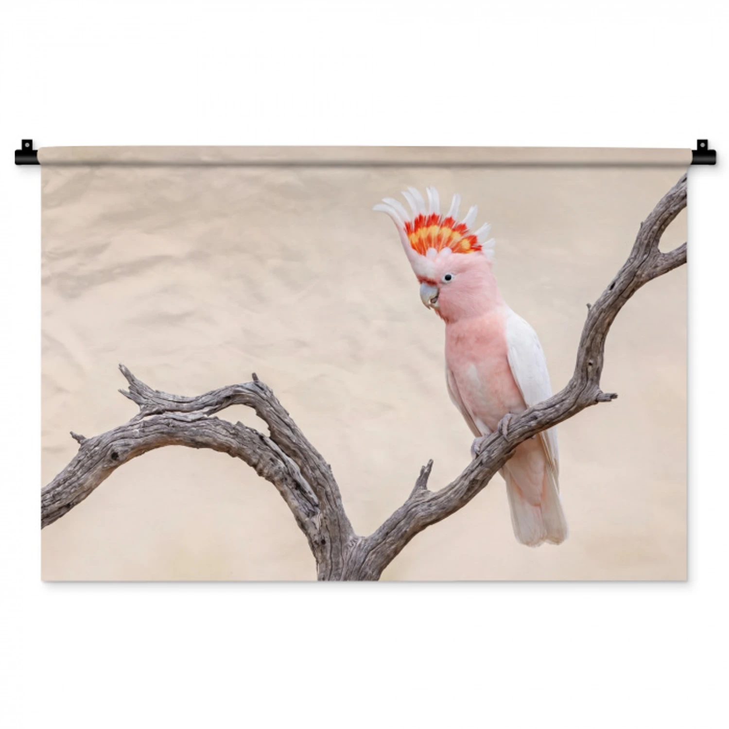 Papagaai - Tak - Roze Wandkleed katoen middel -zz3d