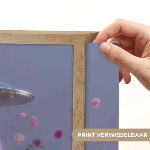 Ufo - Rozen - Pastelkleuren Light Box met batterij (Wandlamp) middel -USP_websiteprintNL
