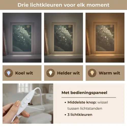 Blad - Groen - Nerven - Regendruppels Light Box met kabel (Tafellamp) klein -USP_lichtkleurNL