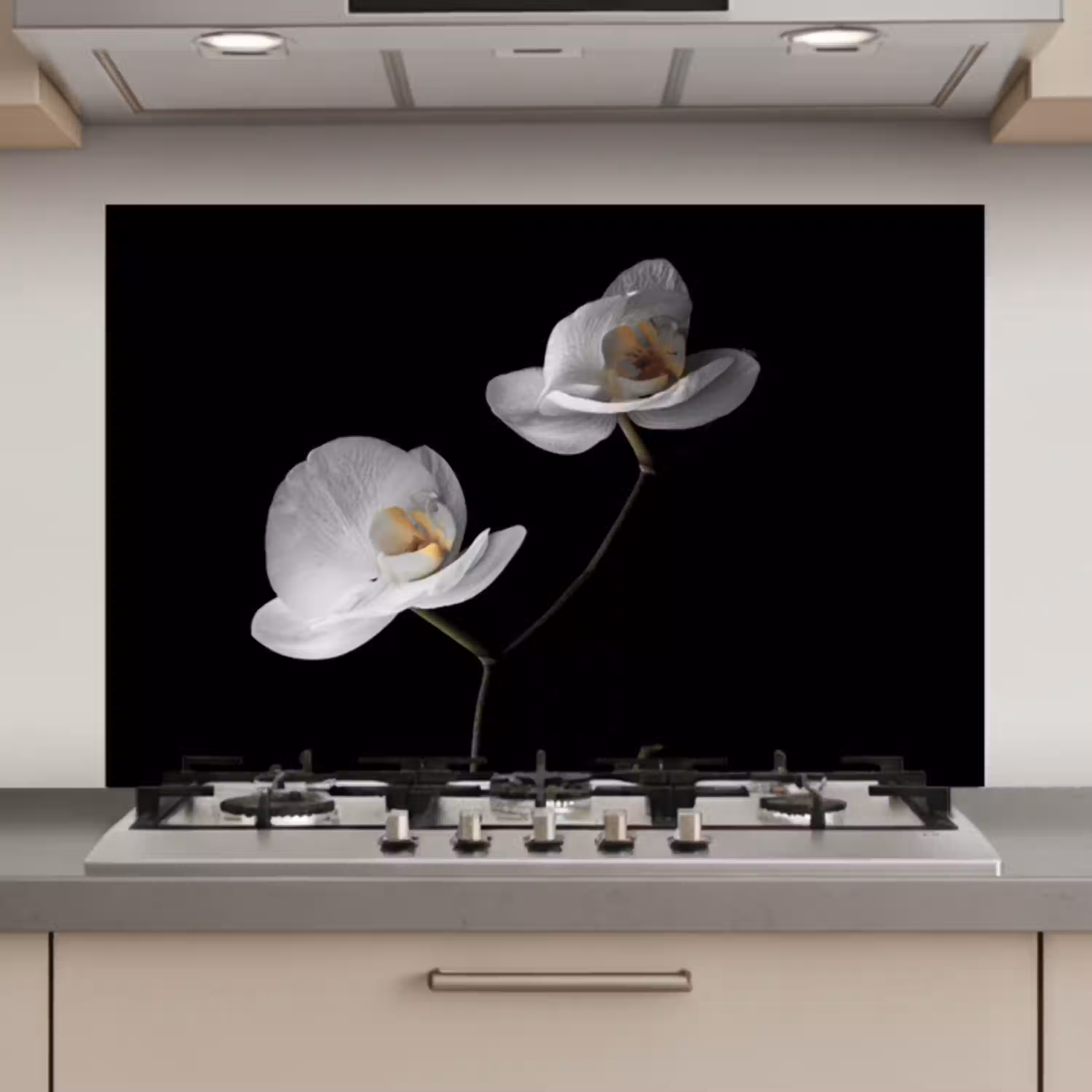 Orchidee - Bloemen - Zwart - Wit - Stilleven keuken achterwand spatscherm klein -3d_website