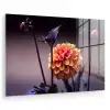 Bloemen - Chrysant - Macro - Planten plexiglas 5mm klein -zzzproduct_nieuw