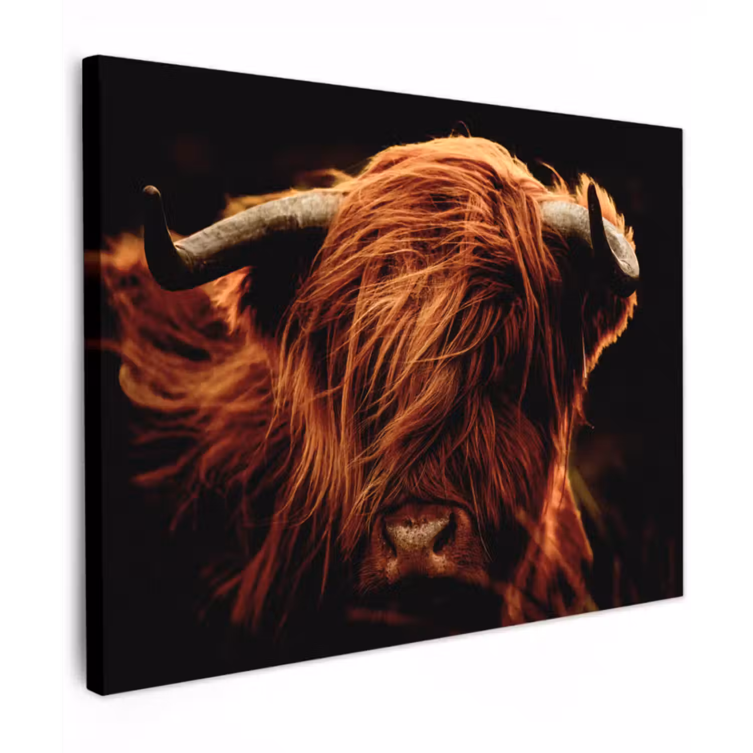 Canvas schilderij - Schotse hooglander - Koe - Hoorns - Portret - Dieren