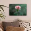 Anjer - Roze - Bloemblaadjes canvas 2cm klein -sfeer1