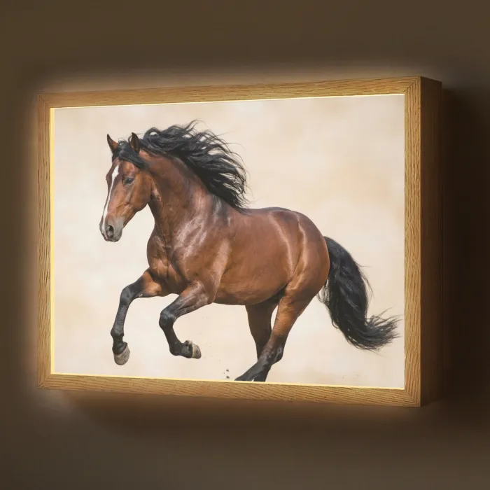 Paard - Galop - Energie Light Box met batterij (Wandlamp) middel -z3d_website