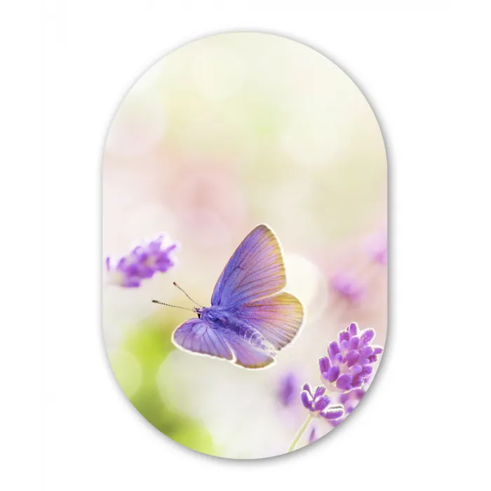 Lavendel - Vlinder - Bloemen Wandcirkel Ovaal Forex klein -3d