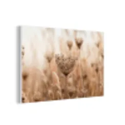 Schermbloem - Droogbloem - Winter - Beige - Minimalistisch forex 5mm xxl -3d