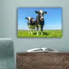 Koeien - Weiland - Gras - Dieren - Boerderij canvas 2cm klein -sfeer4