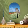 Molen tussen de tulpen in Nederland Wandcirkel Ovaal Forex klein -sfeer2