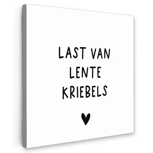 Last van lentekriebels - Spreuken - Quotes Tuinposter op houten frame 2 cm dik klein -3d