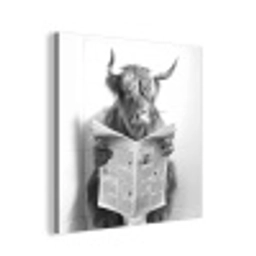 Schotse Hooglander - Dier - Krant - WC aluminium wit klein -3d