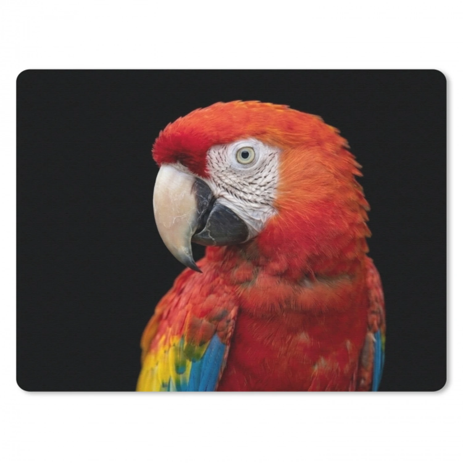 Ara - Portret - Rood muismat rubber klein -3d