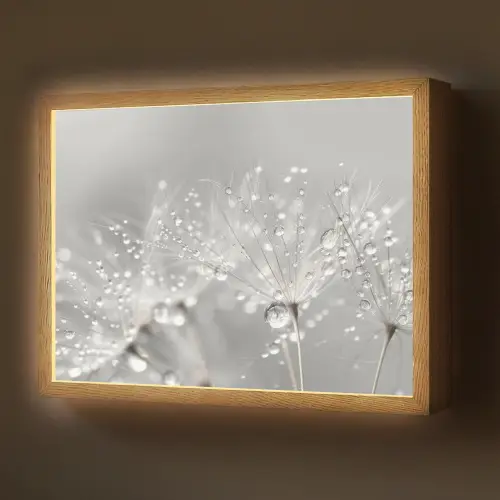 Paardenbloem - Waterdruppels - Stilleven - Modern Light Box met batterij (Wandlamp) middel -z3d_website