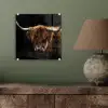 Schotse Hooglander - Horens - Zwart - Dieren - Natuur - Wild - Koe plexiglas 5mm klein -sfeer3