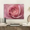 Roze - Roos - Romantisch PET vilt klein -sfeer1