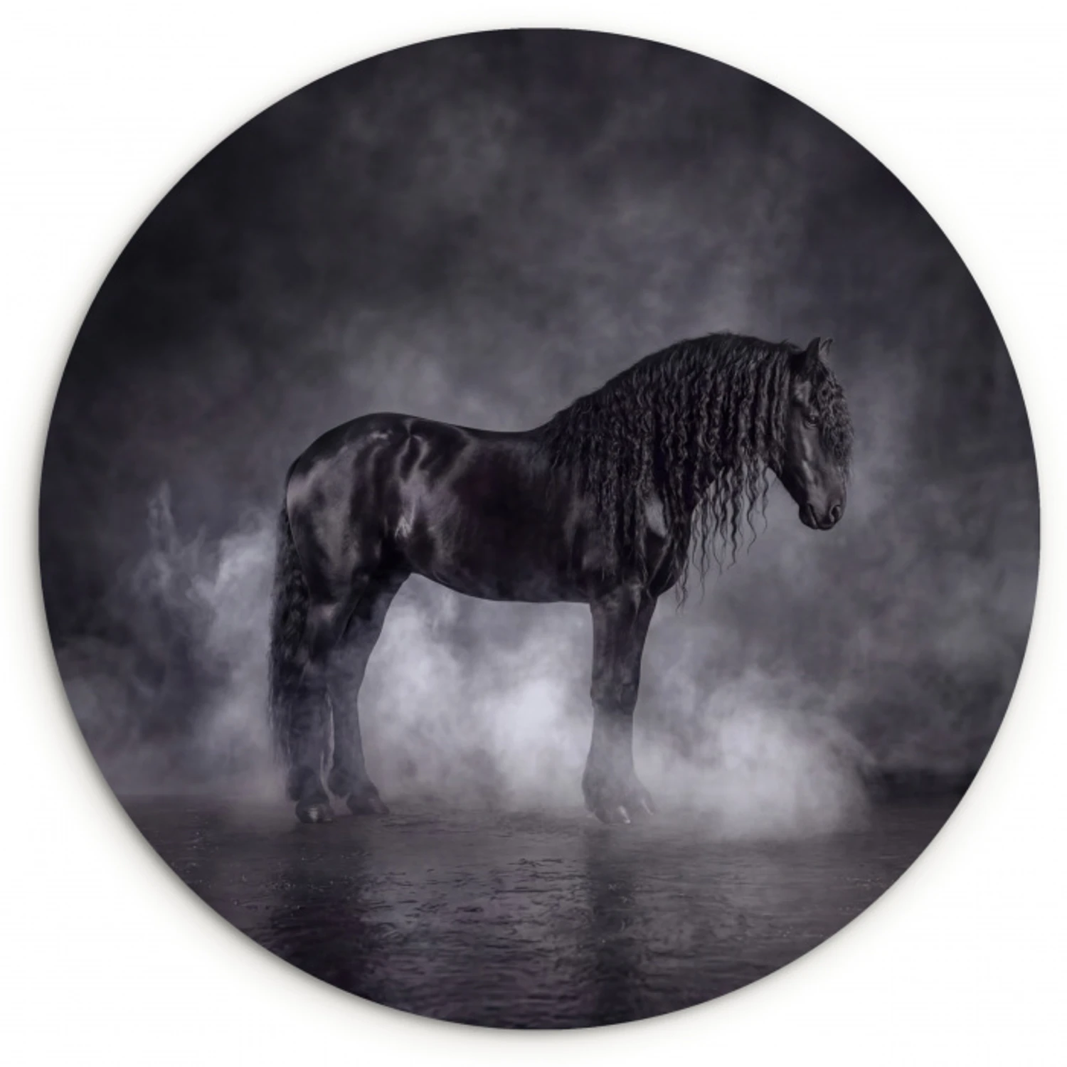 Paard - Magisch - Zwart Wandcirkel kunststof plaat 5mm dik klein -3d