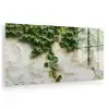 Klimop - Muur - Groen plexiglas 5mm klein -zzzproduct_nieuw
