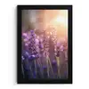 Lavendelbloemen - Paars - Zonlicht fotolijst zwart zonder passe partout klein -3d