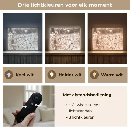 Droogbloemen - Wit - Planten Light Box met batterij (Wandlamp) middel -USP_lichtkleurNL
