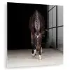 Paard - Modern - Portret plexiglas 5mm klein -zzzproduct_nieuw