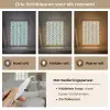 Retro - Modern - Groen Light Box met kabel (Tafellamp) klein 925 -USP_lichtkleurNL