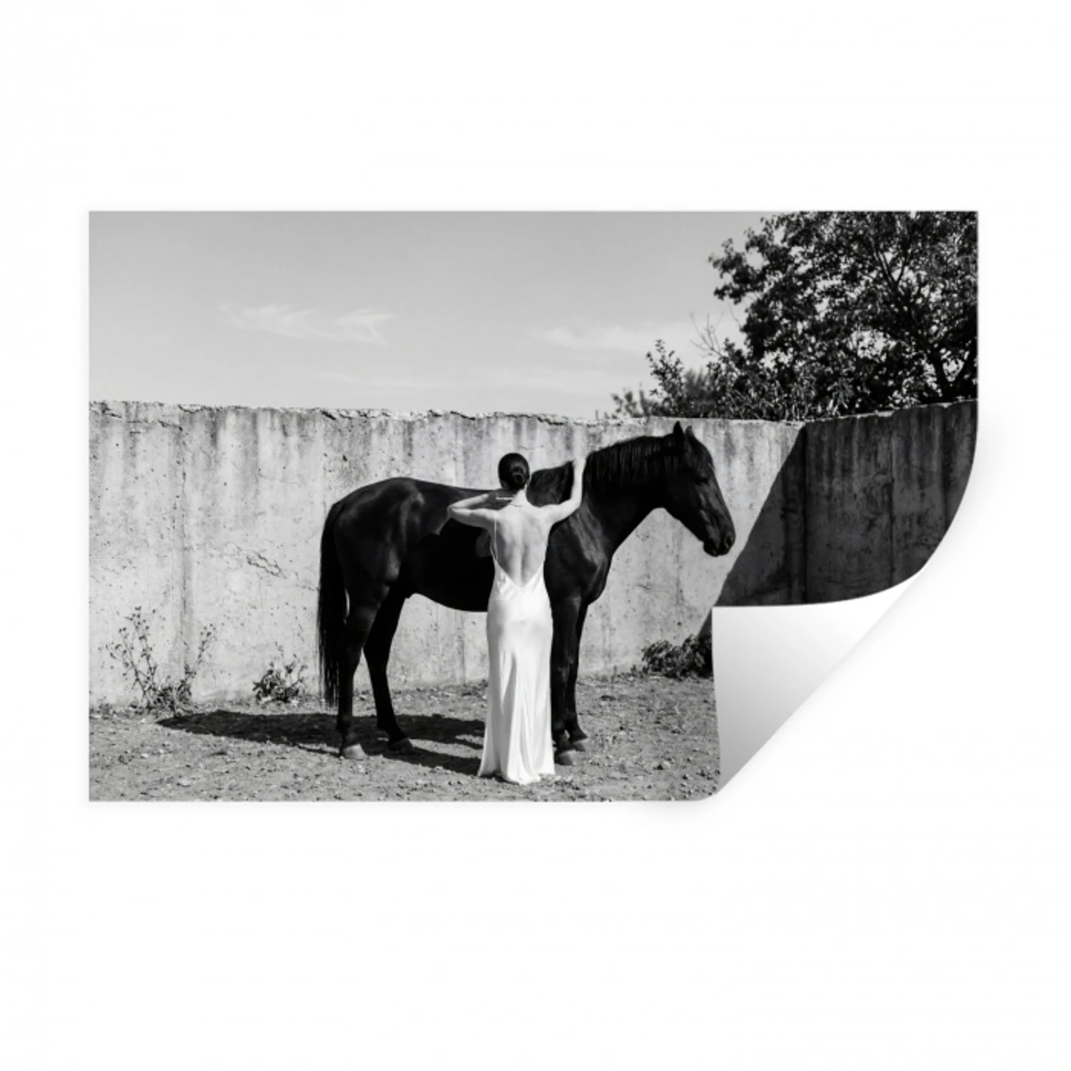 Vrouw - Paard - Artistiek Muursticker klein -3d