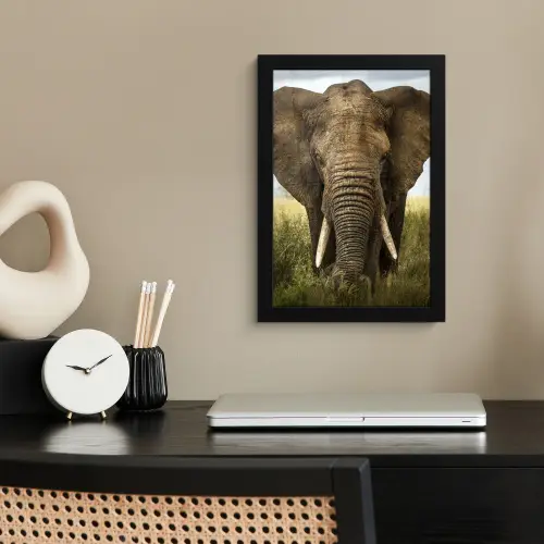 Olifant - Natuur - Gras - Dieren - Landschap fotolijst zwart zonder passe partout klein -sfeer1