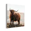 Schotse hooglander - Dieren - Landelijk - Landschap - Koe - Natuur aluminium wit klein -3d