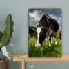 Koeien - Dieren - Gras - Weiland - Boerderij canvas 2cm klein -sfeer4