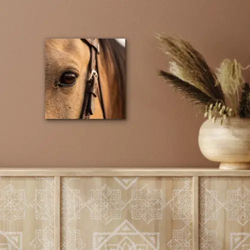Paard - Oog - Bruin aluminium wit klein -sfeer4