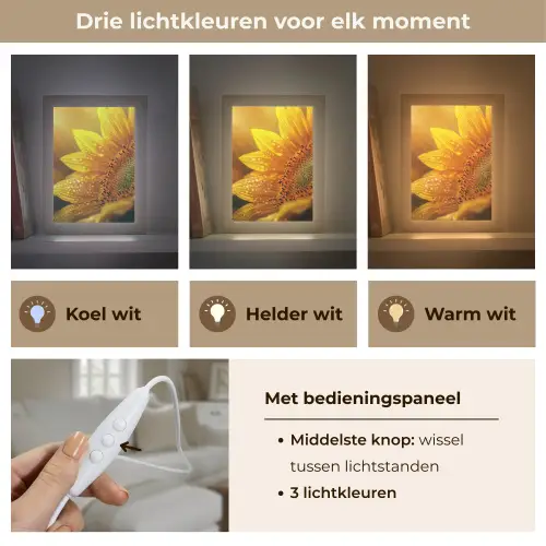 Zonnebloem - Dauwdruppels - Geel - Zonlicht Light Box met kabel (Tafellamp) klein -USP_lichtkleurNL