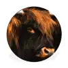 Schotse hooglander - Zwart - Koe - Hoorn - Dieren Wandcirkel aluminium klein -3d