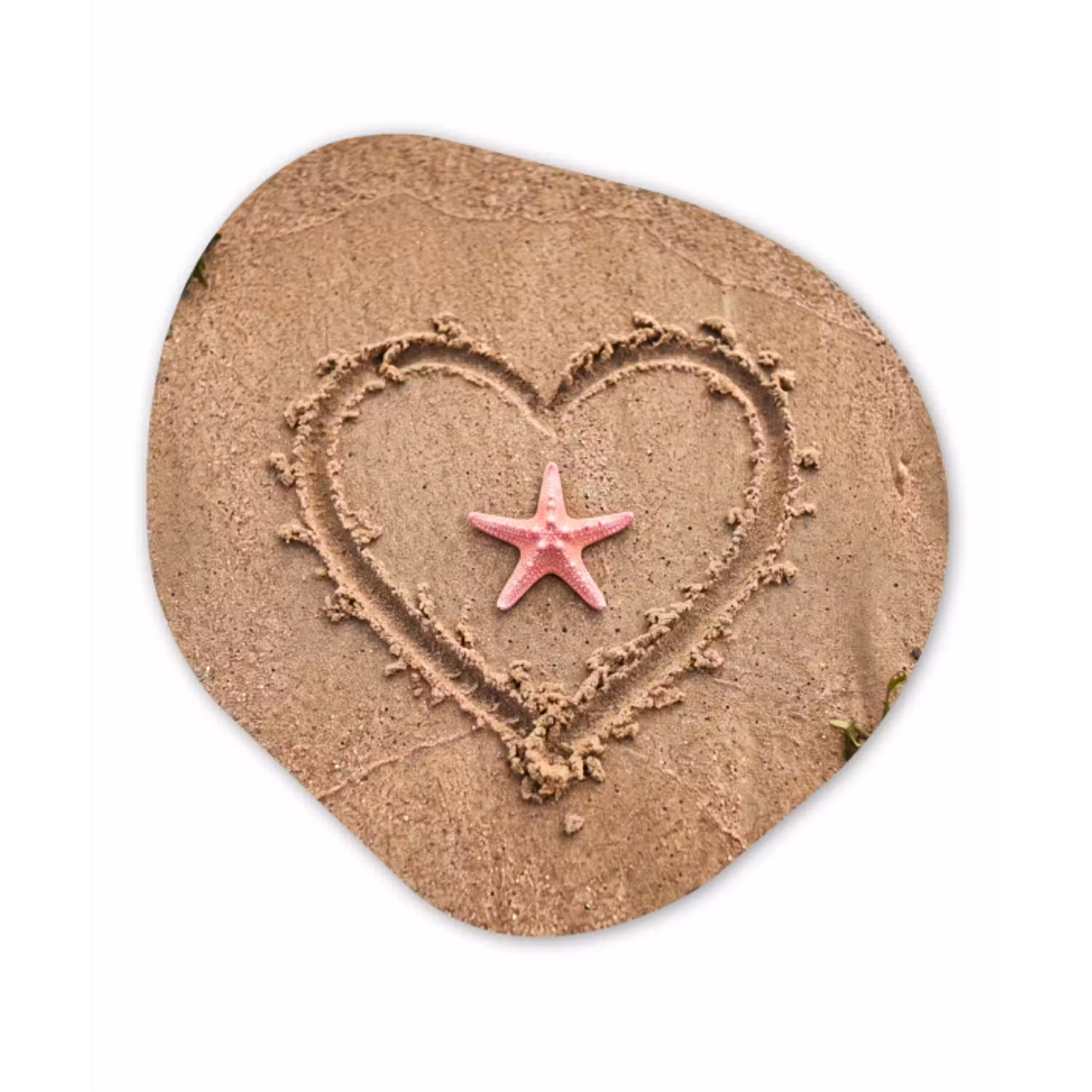 Dieren - Hart - Strand - Zand - Roze Wandcirkel Organisch Aluminium middel -3d