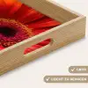 Oranje - Gerbera - Intens Dienblad Rechthoek middel -USP_HandgreepDE