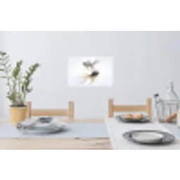 Goudvissen - Modern - Wit Muursticker klein -eettafel