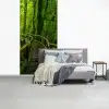 Jungle - Brug - Mos - Natuur - Tropisch fotobehang vinyl groot -slaapkamer
