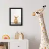 Konijn - Baby konijn - Dieren - Kind - Meisjes - Jongens fotolijst zwart zonder passe partout klein -usfeer4_kinderkamer