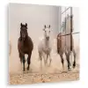 Kudde paarden - Stofwolk - Bruin - Zwart plexiglas 5mm klein -zzzproduct_nieuw