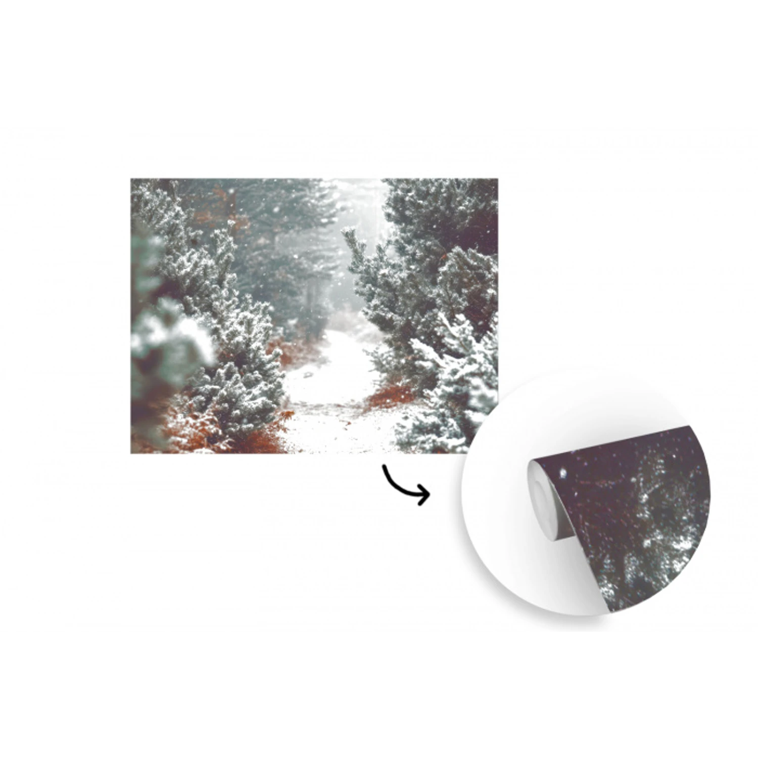 Bos - Winter - Bomen - Natuur - Pad - Sneeuw fotobehang vinyl groot -3d