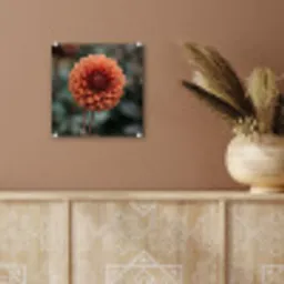 Dahlia - Bloem - Natuur - Sfeervol plexiglas 5mm klein -sfeer5