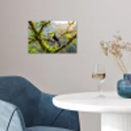 Toekan - Jungle - Natuur - Kleurrijk poster papier klein -sfeer3