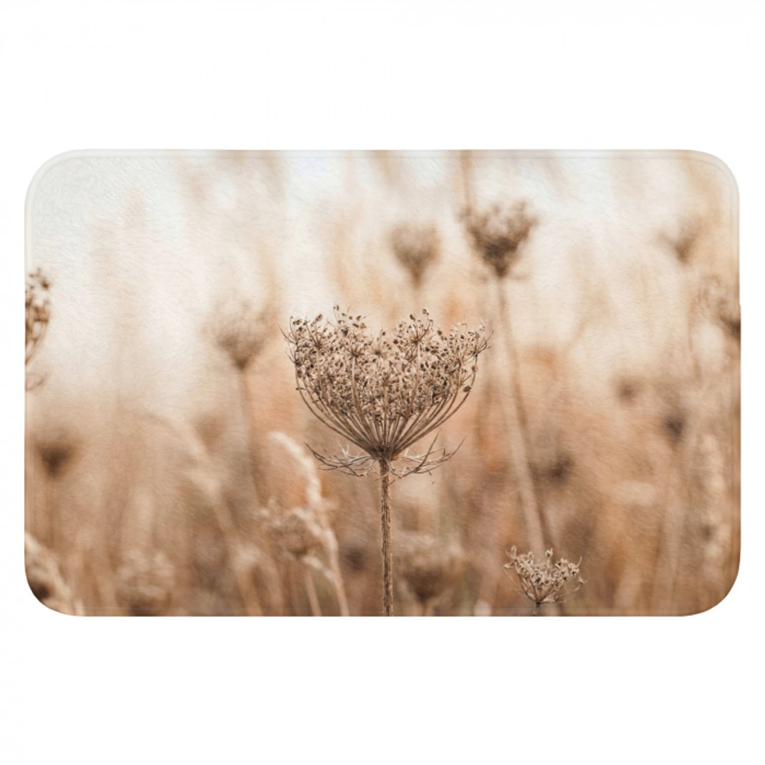Schermbloem - Droogbloem - Winter - Beige - Minimalistisch Badmat klein -3d