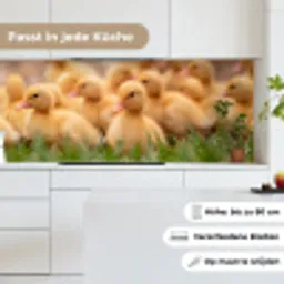 Pijltje - Eend - Natuur - Geel keuken achterwand 2 middel -sfeer4_DE